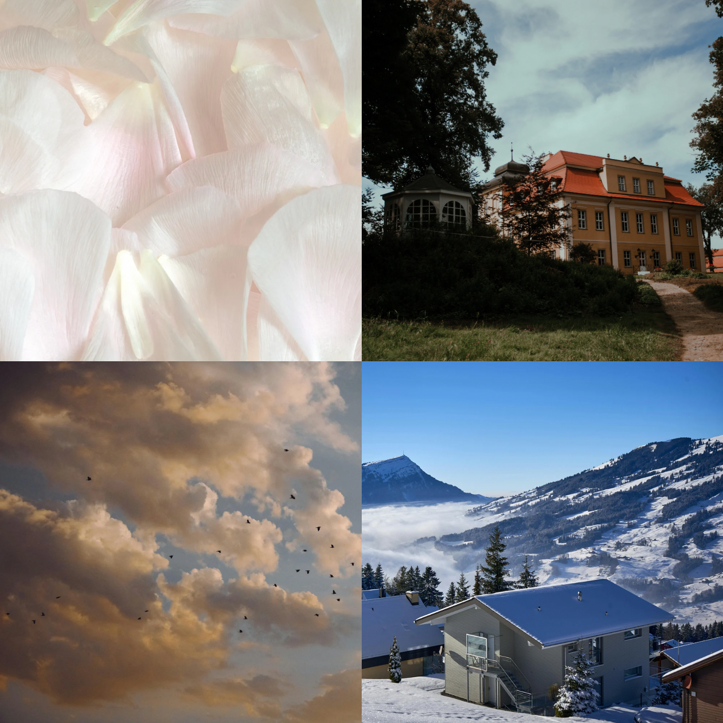 Yuletide Discovery Set